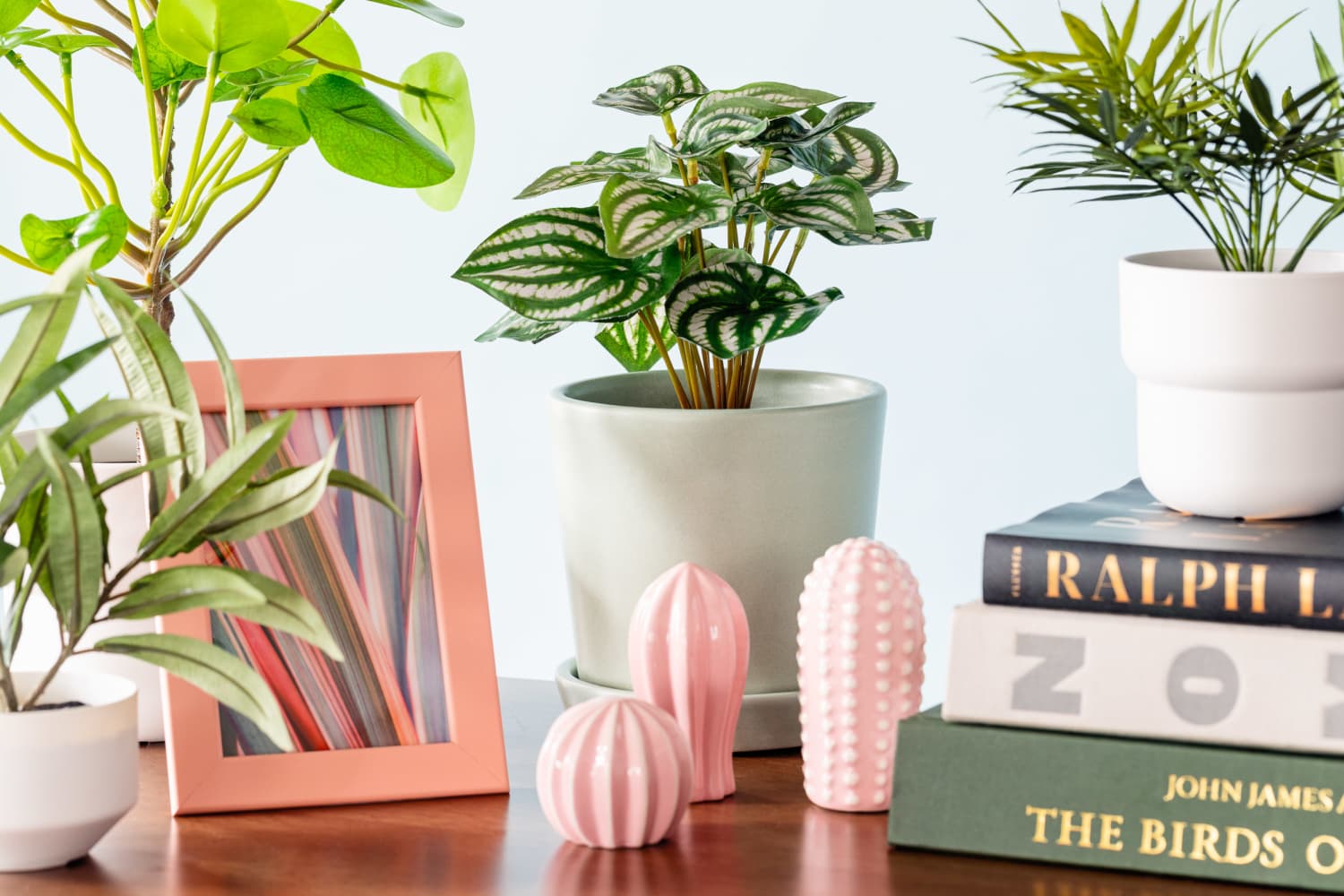 4 Tips for Swapping Fake Plants for Real Houseplants Apartment Therapy
